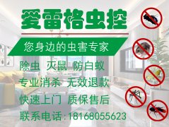 南京灭蟑螂公司提醒您防